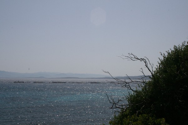 ../Images/2009.05.12 (101).jpg